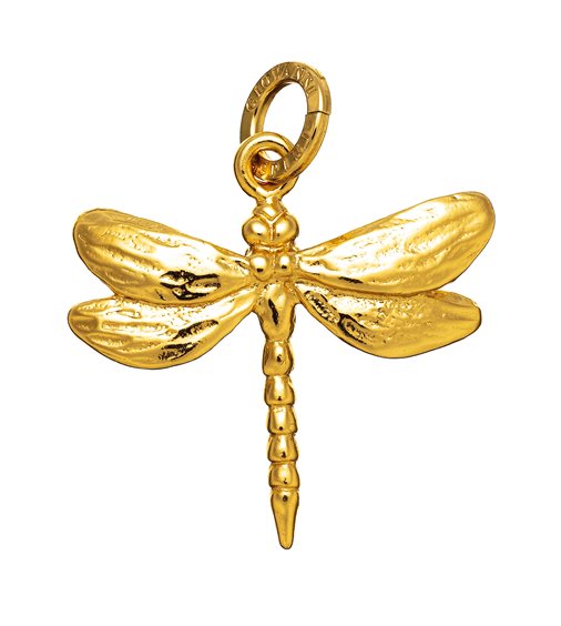 Charm Giovanni Raspini Femme in Argent 08575 - 08575